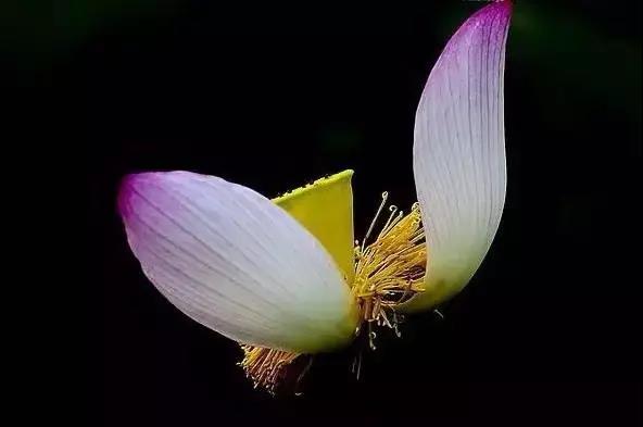 1530866846839278.jpg 微信图片_20180706164607.jpg