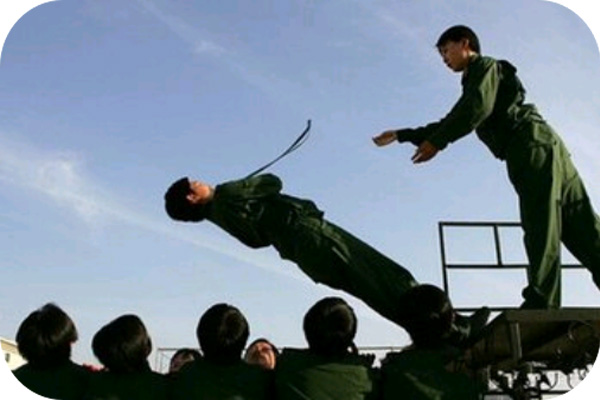 1529976342651373.jpg 未标题-1.jpg
