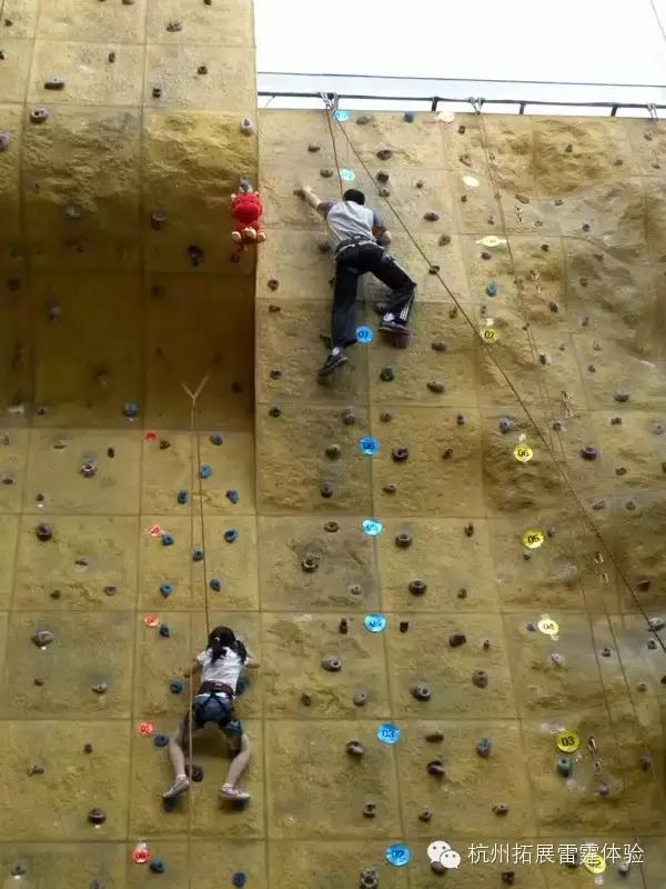 1530780817429795.jpg
