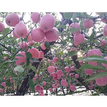 20150717114709_638250312.jpg