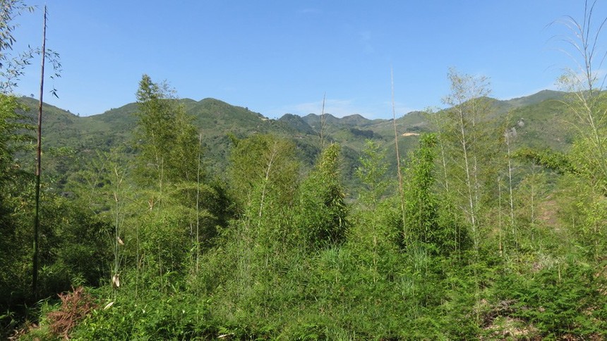 4_1_9dc08532467eb75_.jpg