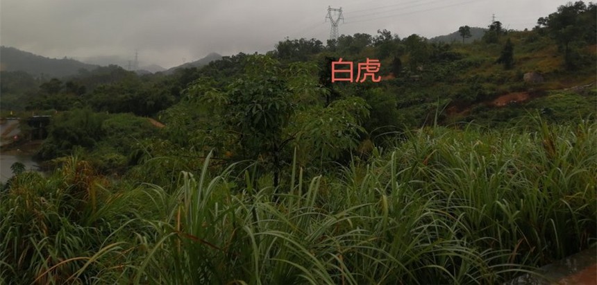 006BNpUKzy7pKGP8sbhdb_.jpg