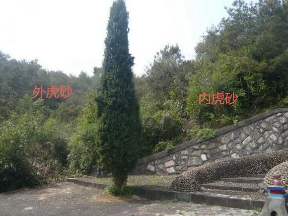 7c2feaee3d6d55fbf7219ef06a224f4a22a4ddbe_.jpg