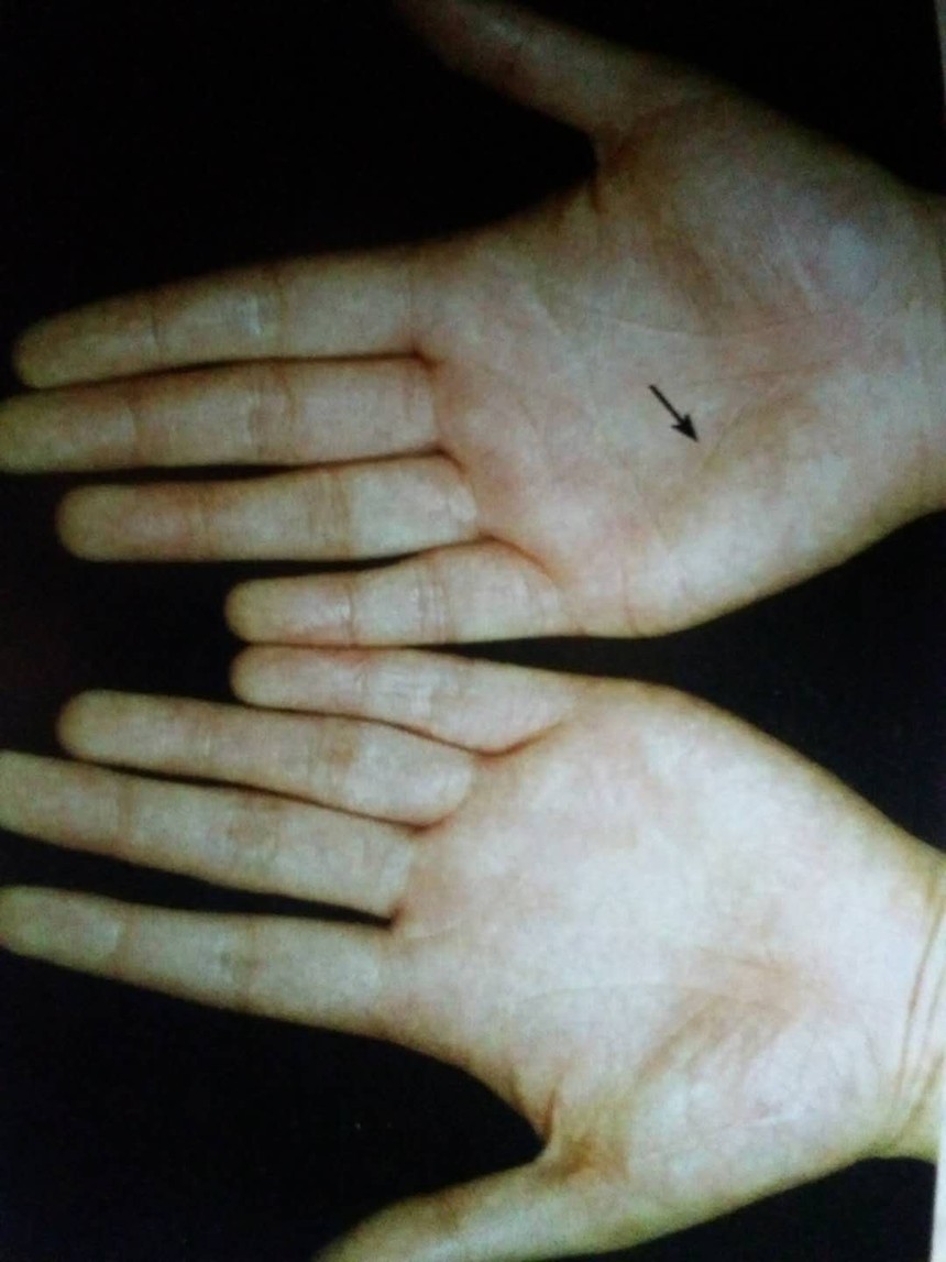 ΢ͼƬ_20190210141711.jpg