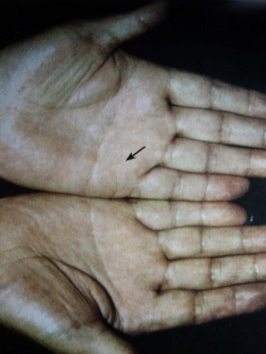 ΢ͼƬ_20190212123210.jpg
