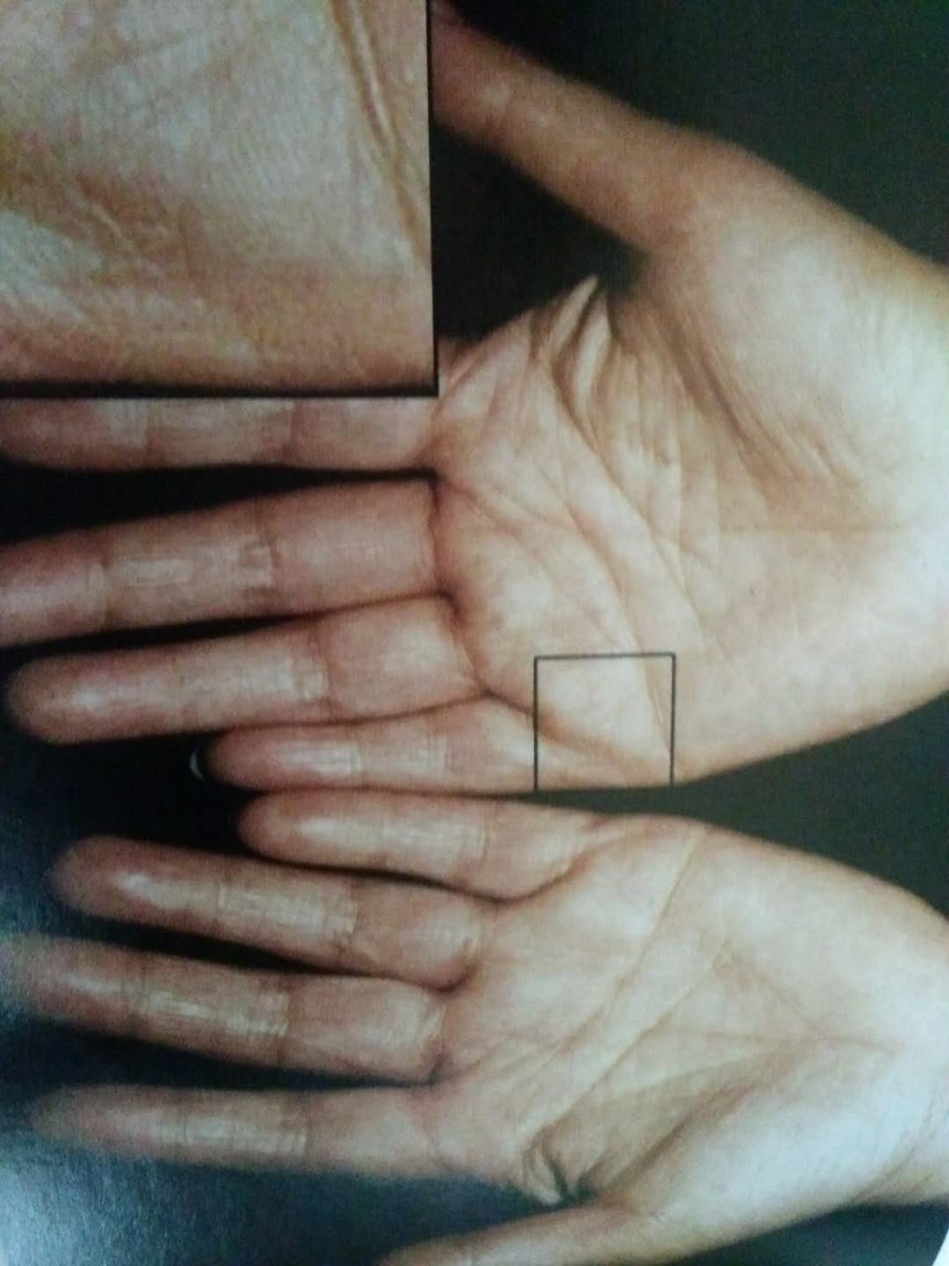 ΢ͼƬ_20190216091034.jpg