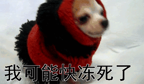 0e1b04d35c3652e432a3245fbdf155ca.gif
