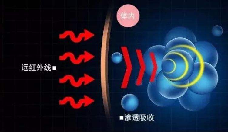 1551773432693097.jpg 远红外.jpg