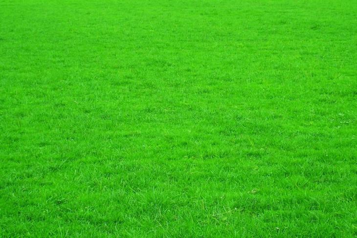 1532335047169752.jpg IMG_4839.JPG