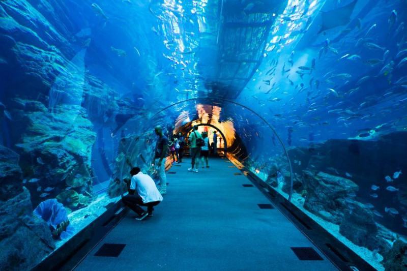 海底隧道设计，弧形透明隧道