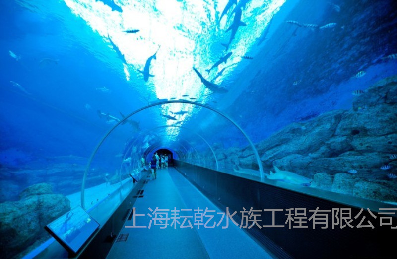 海洋馆海底隧道的玻璃材质用什么材质好