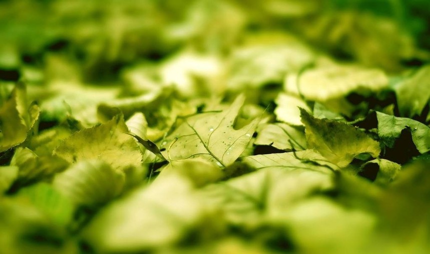 1539523432411058.jpg timg (5).jpg