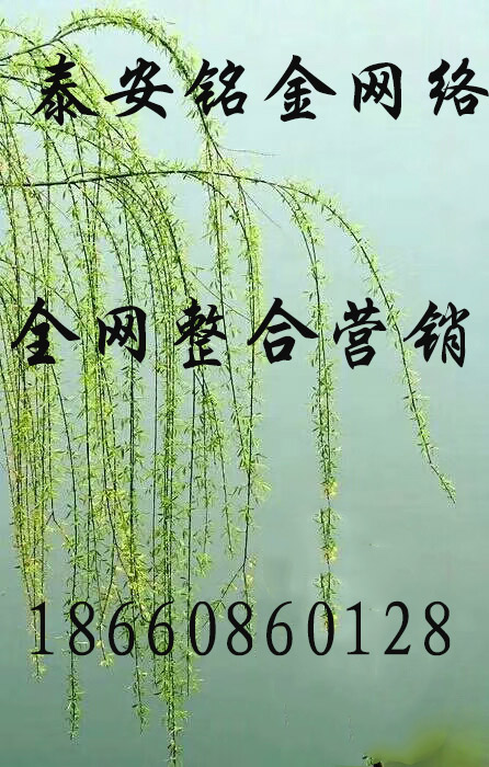 1553244954732068.jpg 铭.jpg