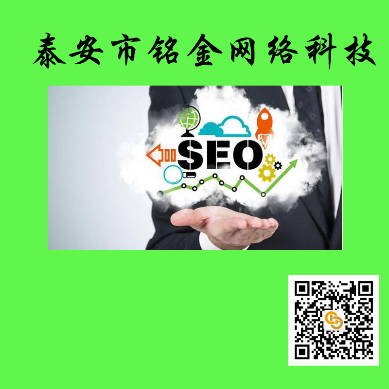 泰安网络公司 泰安网络公司