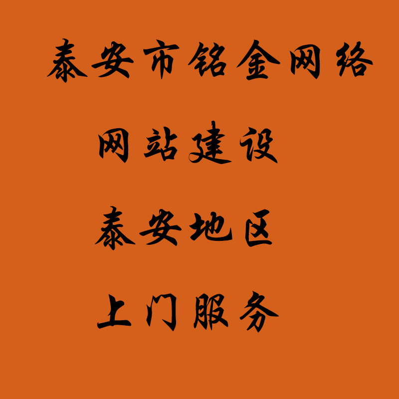 泰安网络公司 泰安网络公司