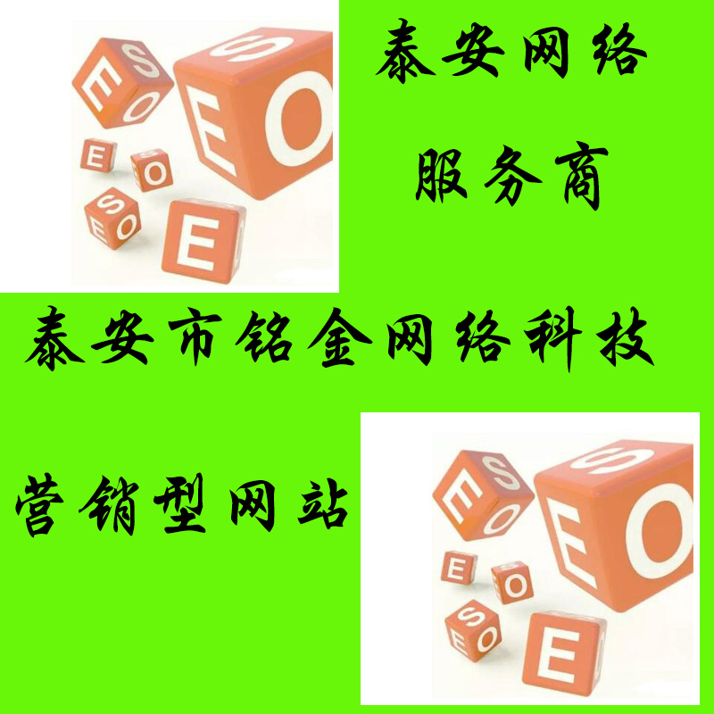 泰安网络公司 泰安网络公司