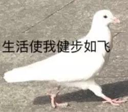 1Q-h-hqzxptp3888646.jpg