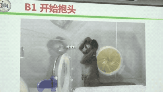 4-4.gif
