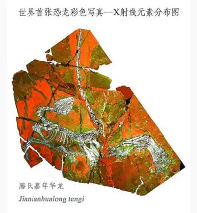 111.jpg
