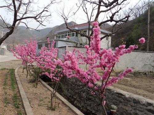 201105031453088906.JPG