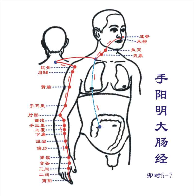 DƬ4.png