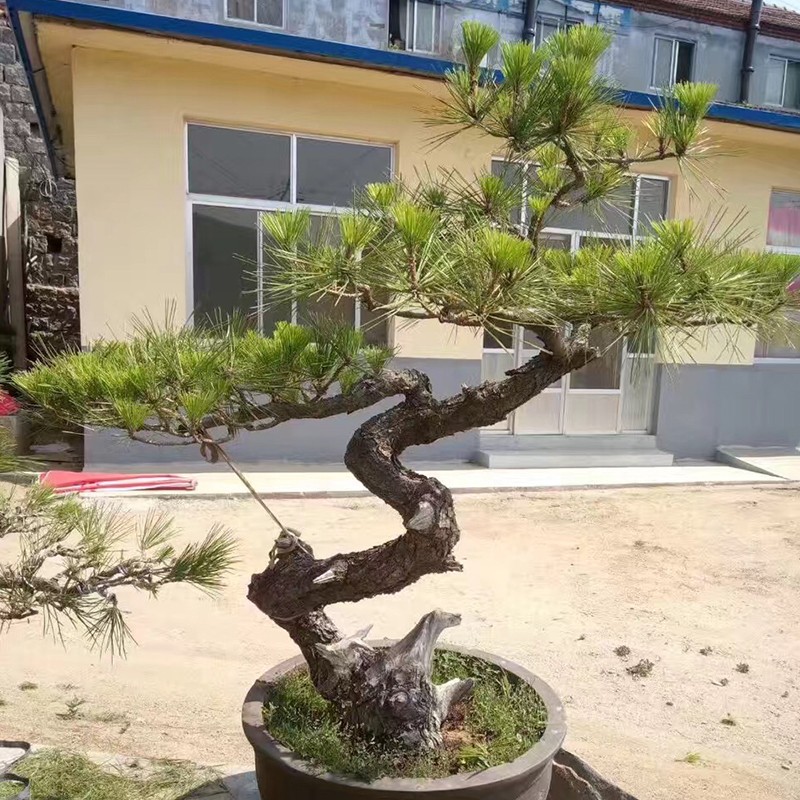 ߰辰