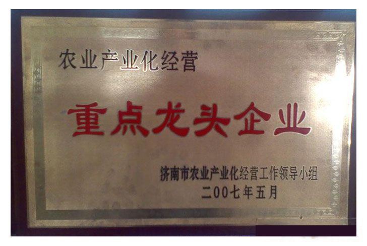 01.jpg
