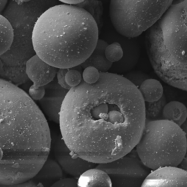 ����Ϳ��۳���