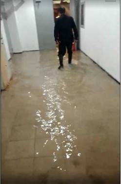 1544944099464455.jpg