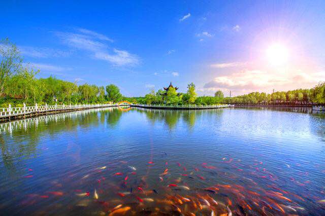 1547604852826377.jpg 4.jpg