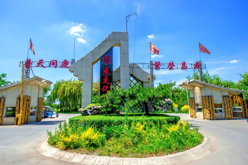 1547605023998267.jpg 10.jpg