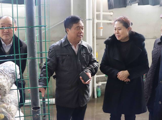 1547605159642287.jpg 1.jpg