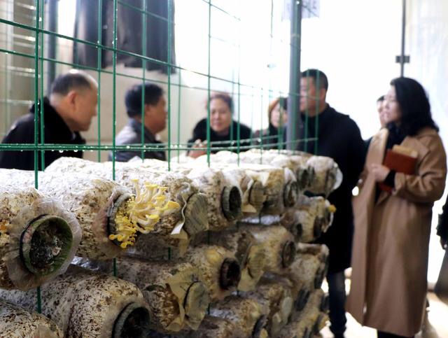 1547605170542354.jpg 2.jpg