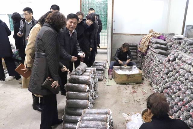 1547605446344519.jpg 4.jpg