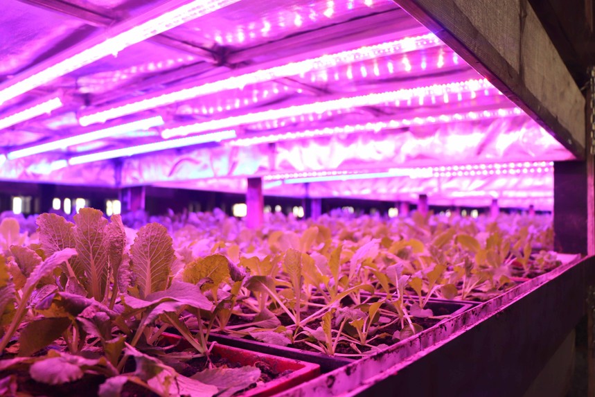 1547605960369266.jpg 6.jpg