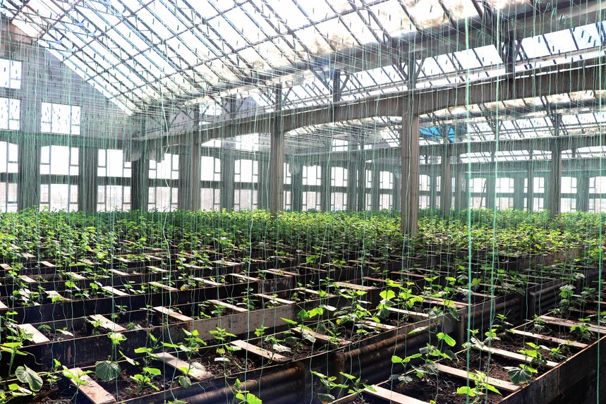 1547606028124574.jpg 8.jpg