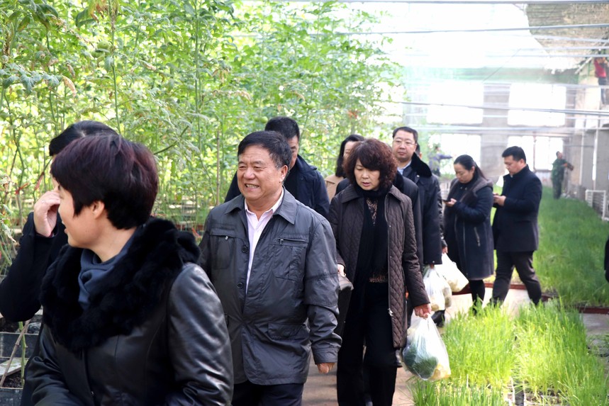 1547606048693407.jpg 9.jpg