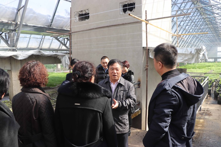 1547606309810272.jpg 10.jpg