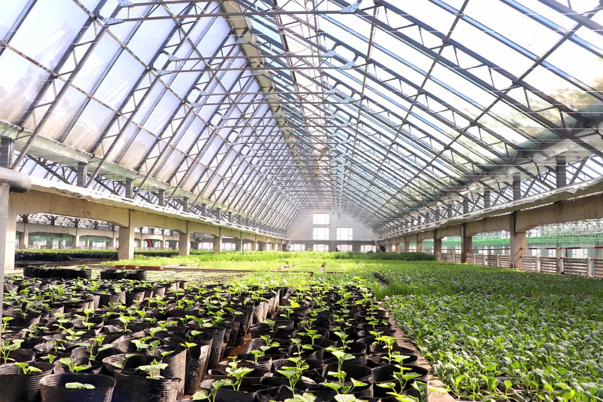 1547606354836782.jpg 12.jpg