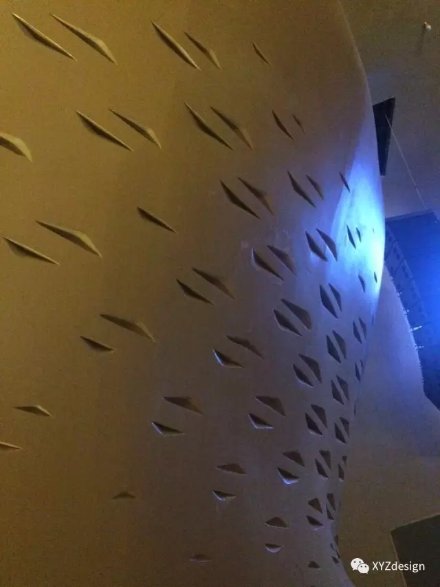 1554362550966700.jpg
