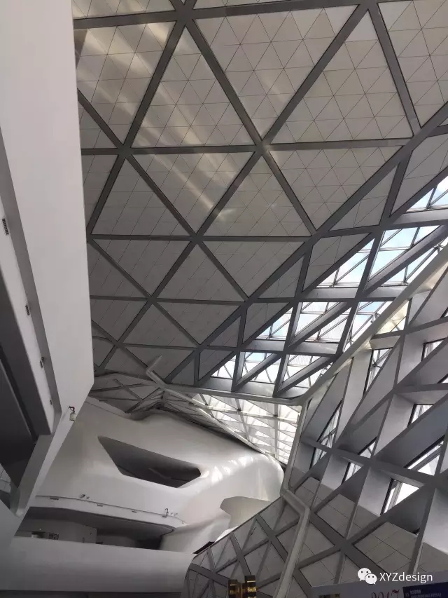 1554362619463365.jpg