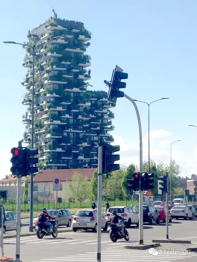 1554368991537577.jpg