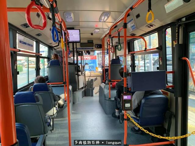 HXN356wg55S4SW7J.jpg