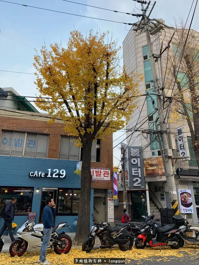 W68F2tcTTs3Cw18S.jpg