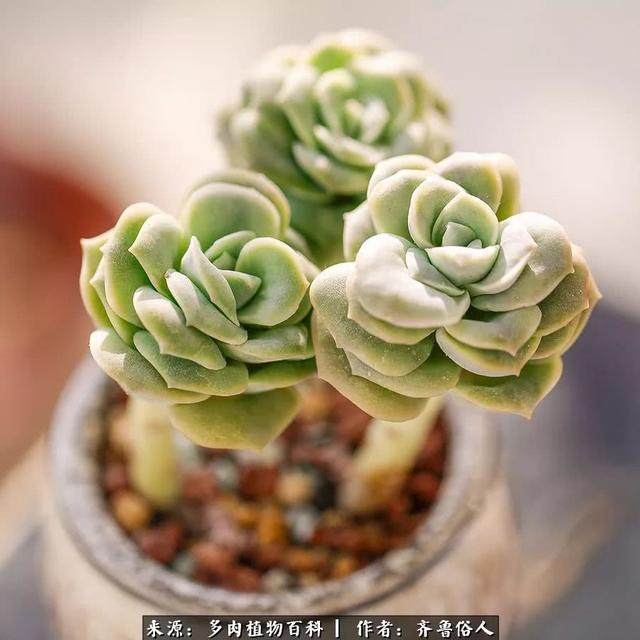 F2ae1dSidC17icBe.jpg