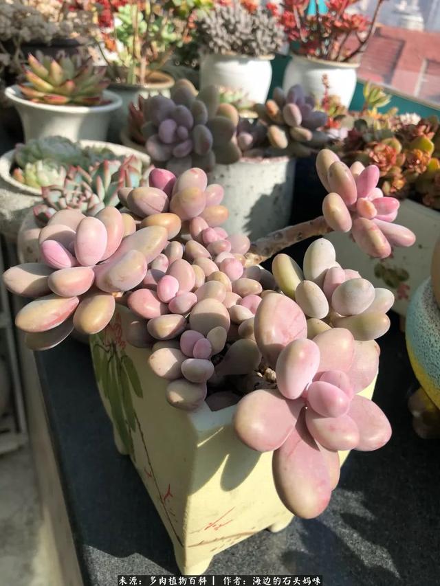 gyohFYCYoMypE96e.jpg