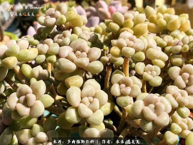 D13303xf8shL19Lv.jpg