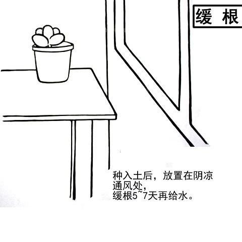 u7r1073OROlLlO08.jpg