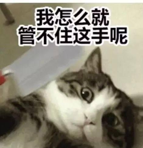 x4xBOk4aLXBP8r4R.jpg