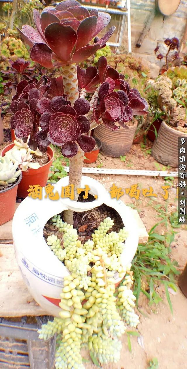 U799187y7zD7EpND.jpg